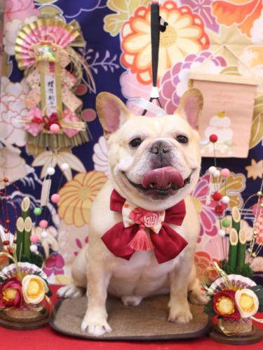 20240106こてつくん